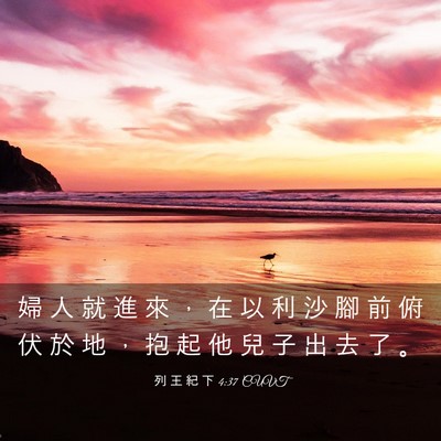 Picture 03 - 列 王 紀 下 4:37 CUVT - 婦 人 就 進 來 ， 在 以 利 沙 腳 前 - Bible Verse Picture
