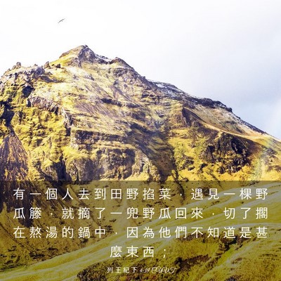 Picture 03 - 列 王 紀 下 4:39 CUVT - 有 一 個 人 去 到 田 野 掐 菜 ， 遇 - Bible Verse Picture