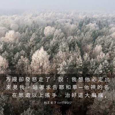Picture 03 - 列 王 紀 下 5:11 CUVT - 乃 縵 卻 發 怒 走 了 ， 說 ： 我 想 - Bible Verse Picture