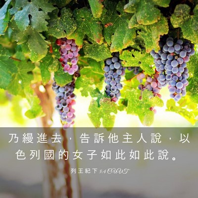 Picture 03 - 列 王 紀 下 5:4 CUVT - 乃 縵 進 去 ， 告 訴 他 主 人 說 ， - Bible Verse Picture