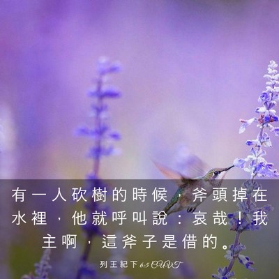 Picture 03 - 列 王 紀 下 6:5 CUVT - 有 一 人 砍 樹 的 時 候 ， 斧 頭 掉 - Bible Verse Picture