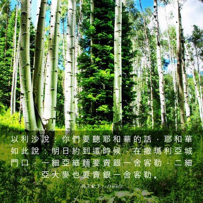 Picture 03 - 列 王 紀 下 7:1 CUVT - 以 利 沙 說 ： 你 們 要 聽 耶 和 華 - Bible Verse Picture