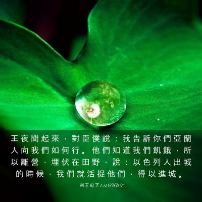 Picture 03 - 列 王 紀 下 7:12 CUVT - 王 夜 間 起 來 ， 對 臣 僕 說 ： 我 - Bible Verse Picture
