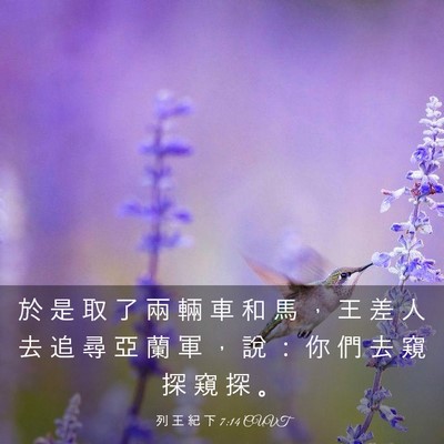 Picture 03 - 列 王 紀 下 7:14 CUVT - 於 是 取 了 兩 輛 車 和 馬 ， 王 差 - Bible Verse Picture