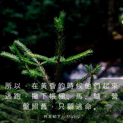 Picture 03 - 列 王 紀 下 7:7 CUVT - 所 以 ， 在 黃 昏 的 時 候 他 們 起 - Bible Verse Picture