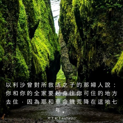 Picture 03 - 列 王 紀 下 8:1 CUVT - 以 利 沙 曾 對 所 救 活 之 子 的 那 - Bible Verse Picture