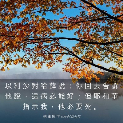 Picture 03 - 列 王 紀 下 8:10 CUVT - 以 利 沙 對 哈 薛 說 ： 你 回 去 告 - Bible Verse Picture