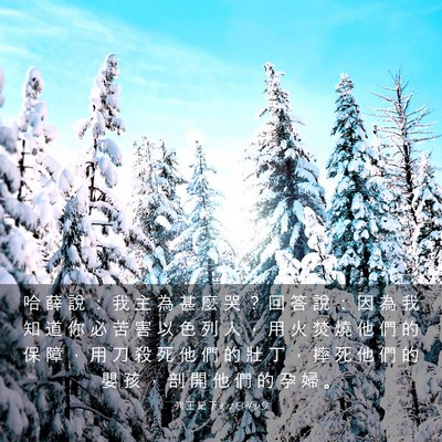 Picture 03 - 列 王 紀 下 8:12 CUVT - 哈 薛 說 ： 我 主 為 甚 麼 哭 ？ 回 - Bible Verse Picture