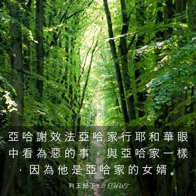 Picture 03 - 列 王 紀 下 8:27 CUVT - 亞 哈 謝 效 法 亞 哈 家 行 耶 和 華 - Bible Verse Picture