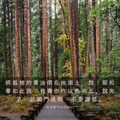 Picture 03 - 列 王 紀 下 9:3 CUVT - 將 瓶 裡 的 膏 油 倒 在 他 頭 上 ， - Bible Verse Picture