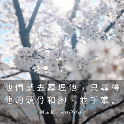 Picture 03 - 列 王 紀 下 9:35 CUVT - 他 們 就 去 葬 埋 他 ， 只 尋 得 他 - Bible Verse Picture