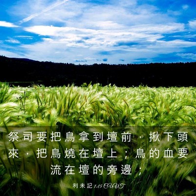 Picture 03 - 利 未 記 1:15 CUVT - 祭 司 要 把 鳥 拿 到 壇 前 ， 揪 下 - Bible Verse Picture