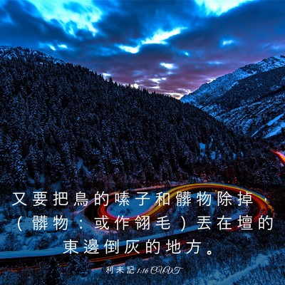 Picture 03 - 利 未 記 1:16 CUVT - 又 要 把 鳥 的 嗉 子 和 髒 物 除 掉 - Bible Verse Picture