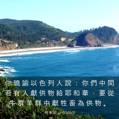 Picture 03 - 利 未 記 1:2 CUVT - 你 曉 諭 以 色 列 人 說 ： 你 們 中 - Bible Verse Picture
