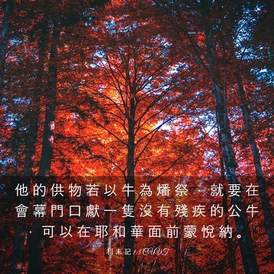 Picture 03 - 利 未 記 1:3 CUVT - 他 的 供 物 若 以 牛 為 燔 祭 ， 就 - Bible Verse Picture