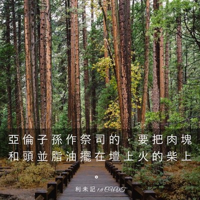 Picture 03 - 利 未 記 1:8 CUVT - 亞 倫 子 孫 作 祭 司 的 ， 要 把 肉 - Bible Verse Picture