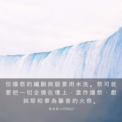 Picture 03 - 利 未 記 1:9 CUVT - 但 燔 祭 的 臟 腑 與 腿 要 用 水 洗 - Bible Verse Picture