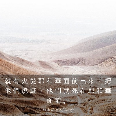 Picture 03 - 利 未 記 10:2 CUVT - 就 有 火 從 耶 和 華 面 前 出 來 ， - Bible Verse Picture