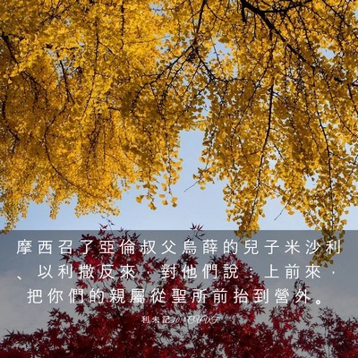 Picture 03 - 利 未 記 10:4 CUVT - 摩 西 召 了 亞 倫 叔 父 烏 薛 的 兒 - Bible Verse Picture