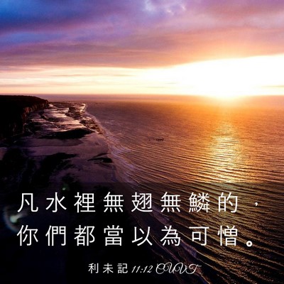 Picture 03 - 利 未 記 11:12 CUVT - 凡 水 裡 無 翅 無 鱗 的 ， 你 們 都 - Bible Verse Picture