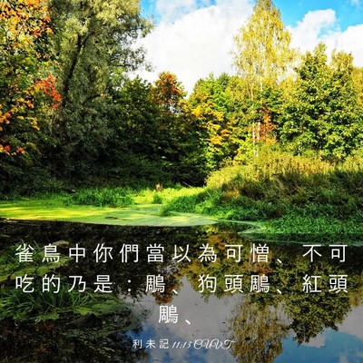 Picture 03 - 利 未 記 11:13 CUVT - 雀 鳥 中 你 們 當 以 為 可 憎 、 不 - Bible Verse Picture