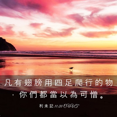 Picture 03 - 利 未 記 11:20 CUVT - 凡 有 翅 膀 用 四 足 爬 行 的 物 ， - Bible Verse Picture