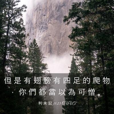 Picture 03 - 利 未 記 11:23 CUVT - 但 是 有 翅 膀 有 四 足 的 爬 物 ， - Bible Verse Picture