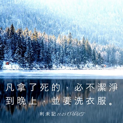 Picture 03 - 利 未 記 11:25 CUVT - 凡 拿 了 死 的 ， 必 不 潔 淨 到 晚 - Bible Verse Picture