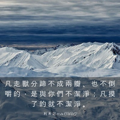 Picture 03 - 利 未 記 11:26 CUVT - 凡 走 獸 分 蹄 不 成 兩 瓣 、 也 不 - Bible Verse Picture