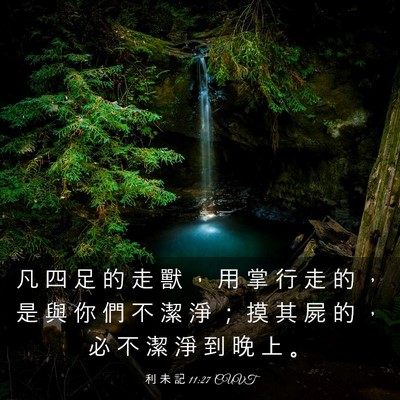 Picture 03 - 利 未 記 11:27 CUVT - 凡 四 足 的 走 獸 ， 用 掌 行 走 的 - Bible Verse Picture