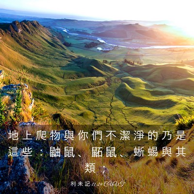 Picture 03 - 利 未 記 11:29 CUVT - 地 上 爬 物 與 你 們 不 潔 淨 的 乃 - Bible Verse Picture