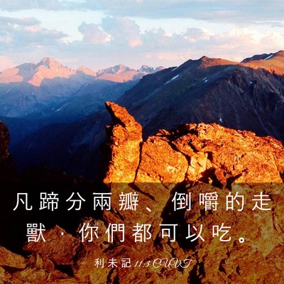 Picture 03 - 利 未 記 11:3 CUVT - 凡 蹄 分 兩 瓣 、 倒 嚼 的 走 獸 ， - Bible Verse Picture