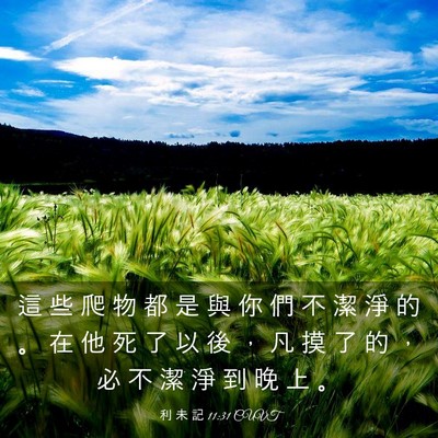 Picture 03 - 利 未 記 11:31 CUVT - 這 些 爬 物 都 是 與 你 們 不 潔 淨 - Bible Verse Picture