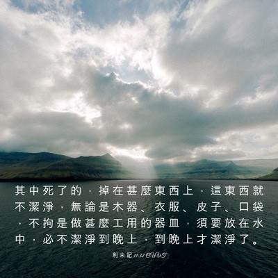 Picture 03 - 利 未 記 11:32 CUVT - 其 中 死 了 的 ， 掉 在 甚 麼 東 西 - Bible Verse Picture