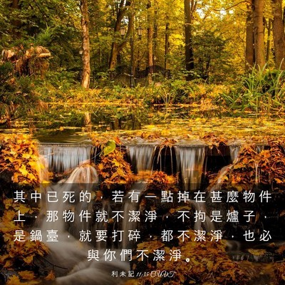 Picture 03 - 利 未 記 11:35 CUVT - 其 中 已 死 的 ， 若 有 一 點 掉 在 - Bible Verse Picture