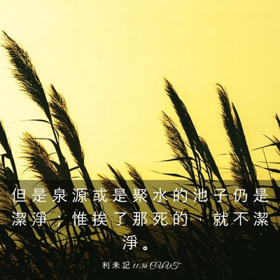 Picture 03 - 利 未 記 11:36 CUVT - 但 是 泉 源 或 是 聚 水 的 池 子 仍 - Bible Verse Picture