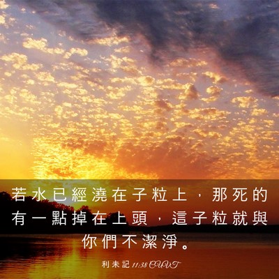Picture 03 - 利 未 記 11:38 CUVT - 若 水 已 經 澆 在 子 粒 上 ， 那 死 - Bible Verse Picture
