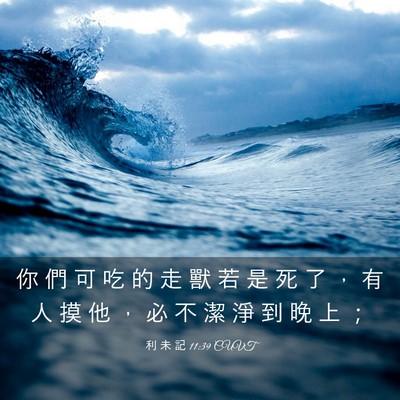 Picture 03 - 利 未 記 11:39 CUVT - 你 們 可 吃 的 走 獸 若 是 死 了 ， - Bible Verse Picture