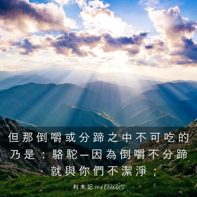 Picture 03 - 利 未 記 11:4 CUVT - 但 那 倒 嚼 或 分 蹄 之 中 不 可 吃 - Bible Verse Picture