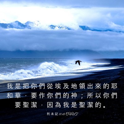 Picture 03 - 利 未 記 11:45 CUVT - 我 是 把 你 們 從 埃 及 地 領 出 來 - Bible Verse Picture