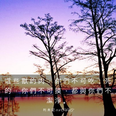 Picture 03 - 利 未 記 11:8 CUVT - 這 些 獸 的 肉 ， 你 們 不 可 吃 ； - Bible Verse Picture