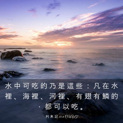 Picture 03 - 利 未 記 11:9 CUVT - 水 中 可 吃 的 乃 是 這 些 ： 凡 在 - Bible Verse Picture