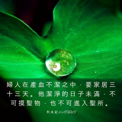 Picture 03 - 利 未 記 12:4 CUVT - 婦 人 在 產 血 不 潔 之 中 ， 要 家 - Bible Verse Picture