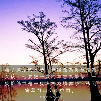 Picture 03 - 利 未 記 12:6 CUVT - 滿 了 潔 淨 的 日 子 ， 無 論 是 為 - Bible Verse Picture