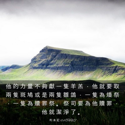 Picture 03 - 利 未 記 12:8 CUVT - 他 的 力 量 不 夠 獻 一 隻 羊 羔 ， - Bible Verse Picture