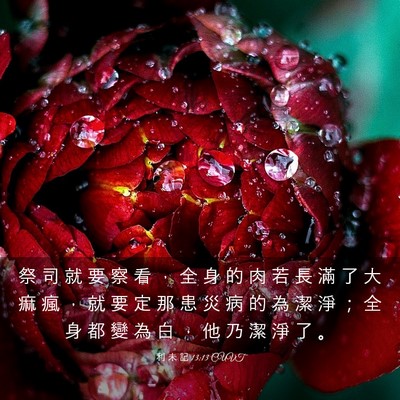 Picture 03 - 利 未 記 13:13 CUVT - 祭 司 就 要 察 看 ， 全 身 的 肉 若 - Bible Verse Picture