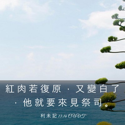 Picture 03 - 利 未 記 13:16 CUVT - 紅 肉 若 復 原 ， 又 變 白 了 ， 他 - Bible Verse Picture