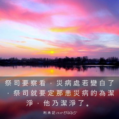 Picture 03 - 利 未 記 13:17 CUVT - 祭 司 要 察 看 ， 災 病 處 若 變 白 - Bible Verse Picture