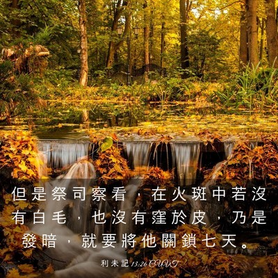 Picture 03 - 利 未 記 13:26 CUVT - 但 是 祭 司 察 看 ， 在 火 斑 中 若 - Bible Verse Picture
