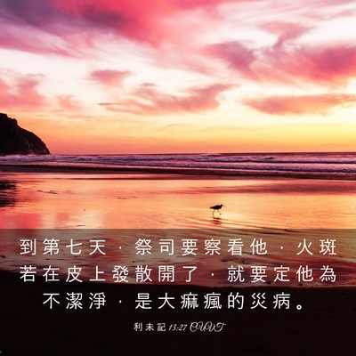 Picture 03 - 利 未 記 13:27 CUVT - 到 第 七 天 ， 祭 司 要 察 看 他 ， - Bible Verse Picture